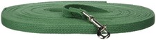 OmniPet Leather Brothers 50ft Web Training Lead, Small, Green