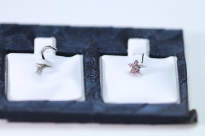 TWO nose Piercing ready with Display Included New