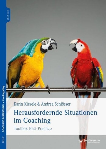 Herausfordernde Situationen Im Coaching Andrea SchlöSser-image