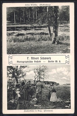 Deep, Silent Forest Lake, Flounder Fisherman, Postcard 