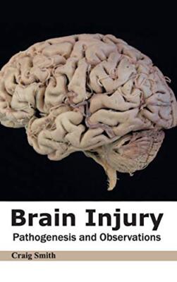 Brain Injury: Pathogenesis and Observations [Hardcover]