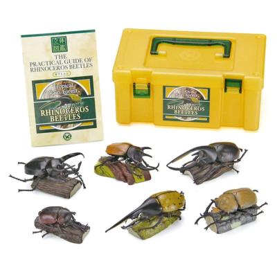 Colorata 3D Real Figure Box Tropical Rain Forest Rhinoceros Beetle