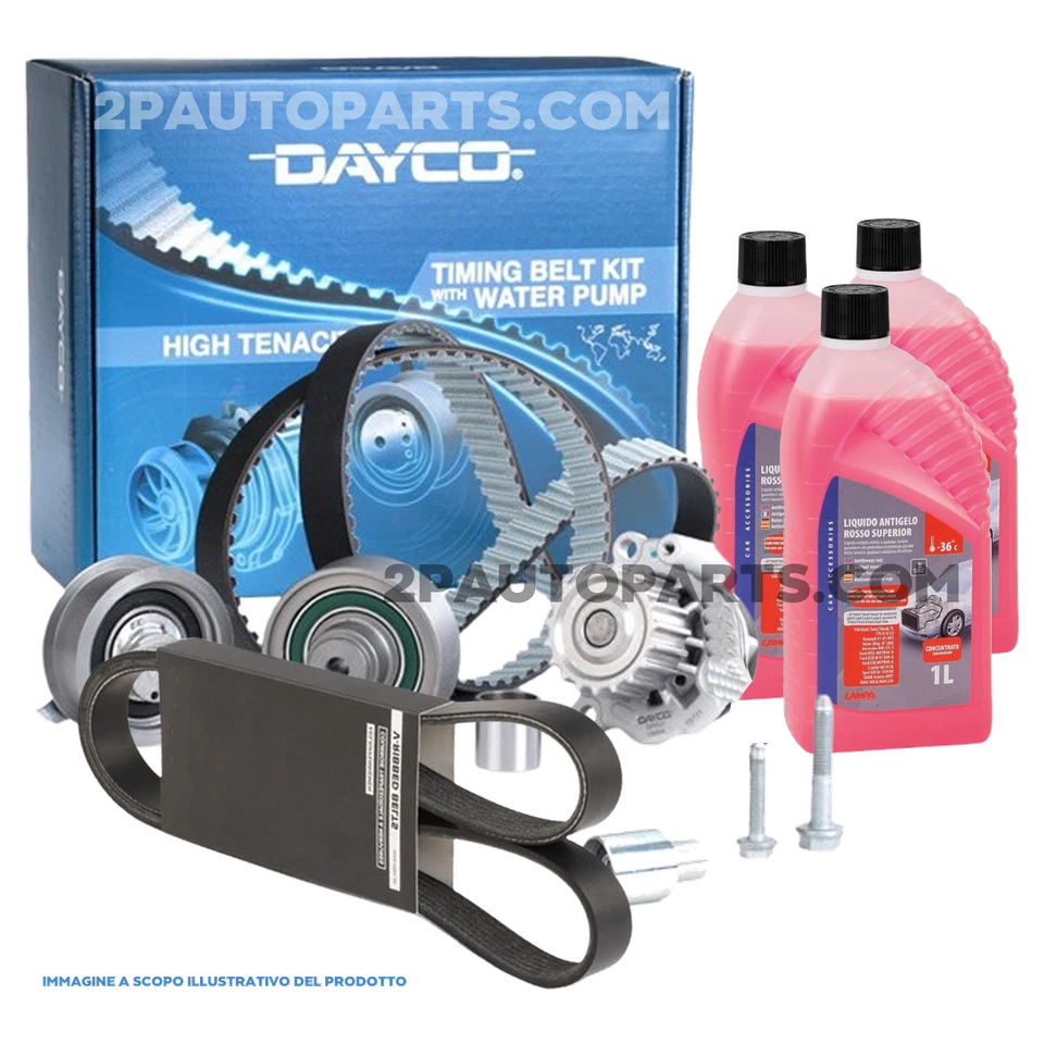 KIT DISTRIBUZIONE POMPA ACQUA CINGHIA SERVIZI PER AUDI A4, A4 AVANT 1.9 2.0 TDI - Imagen 2 de 4