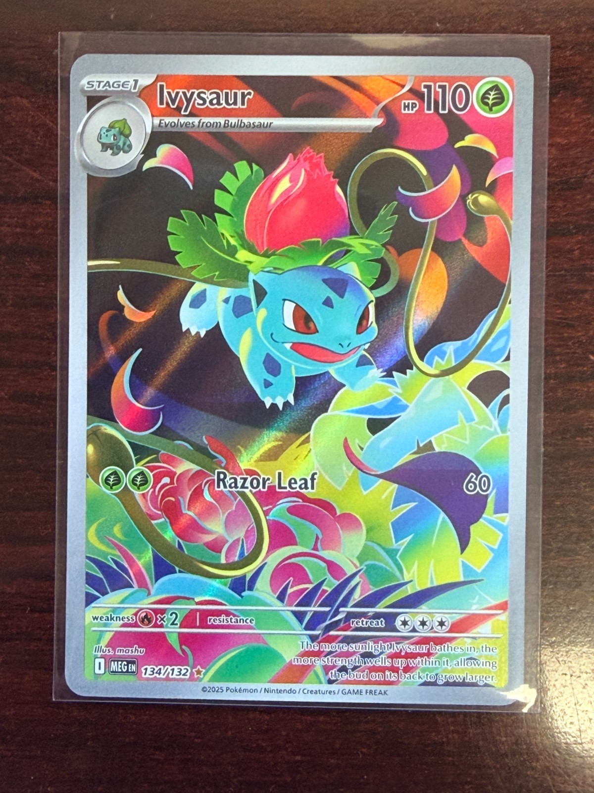 Pokemon TCG Ivysaur 134/132 2025 Mega Evolution Illustration Rare Card - LP