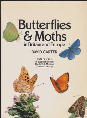 BUTTERFLIES AND MOTHS IN BRITAIN AND EUROPE | eBay