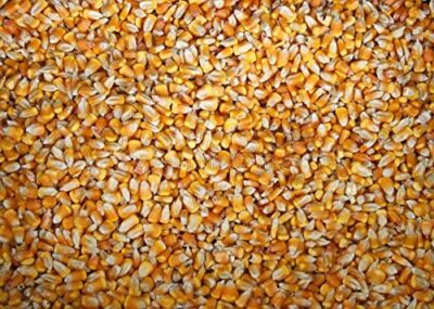 10 pounds Yellow Whole Kernel Corn Grown and Shipped from Iowa