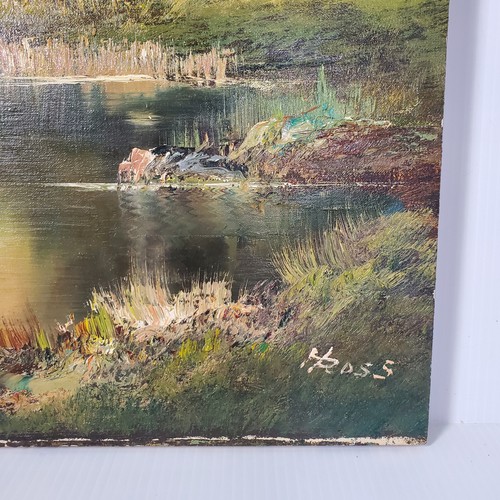 Dipinto paesaggio olio tela firmato H Ross 30x24 vintage anni 80 montagne fiume legno - Foto 3 di 21