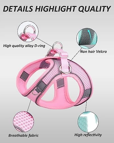 Dog Harness for Small Dogs No Pull, Puppy Harness and Leash Set, Medium Bule
