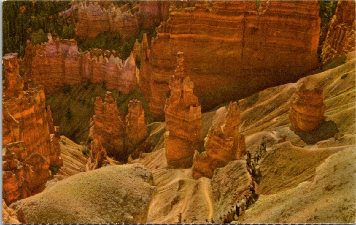 Bryce Canyon National Park Utah Land of Scenic Thrills Vintage