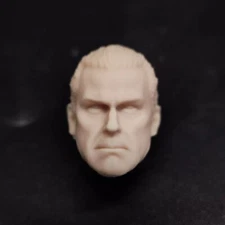 1/12 Head Model Punisher 2 Ray Stevenson For 6 inch Action Figures Doll Toy