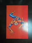 AMAZING SPIDER-MAN #6 Tyler Kirkham Red Virgin Variant Comic Xposure Exclusive