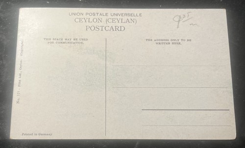 Ceylon um 1910 Postkarte Teepflücker am Straßenrand unbesendet - Bild 2 von 2