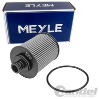 Meyle ÖLfilter Filtereinsatz Passend FüR Alfa Romeo Mito Fiat 500 Doblo Fiorino
