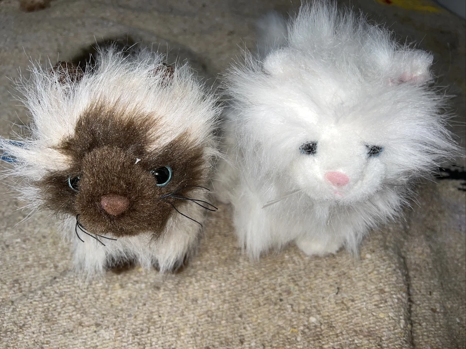 Webkinz Himalayan And Persian Cats No Codes - Image 4 of 4