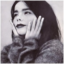 Bjork HUGE POSTER - 24" x 24" Vespertine era - BEAUTIFUL Wall Art Print