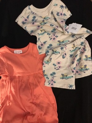Toddler Girls, Three Piece Bundle With One Dress One Short Outfit In A Sz 18 Mo.