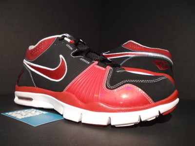 brandon roy nike shoes