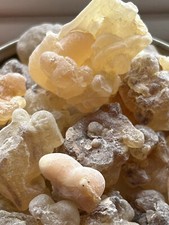 Royal Hojari Frankincense/Boswellia Sacra/From Oman/1 oz pkg