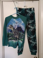 WONDER NATION BOYS 2 PC PAJAMA SET DINOSAURS SIZE XL 14-16