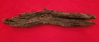 Civil War Battlefield Bullet In Wood Tree Mississippi US CS Original