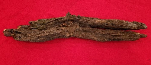 Civil War Battlefield Bullet In Wood Tree Mississippi US CS Original