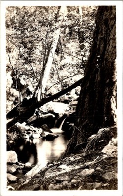 Forest Stream Cascade RPPC Postcard AZO Kodak - Sylvan Scene