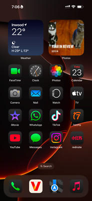 Apple iPhone 16 Pro Max - 256 GB - golden with TikTok installed   