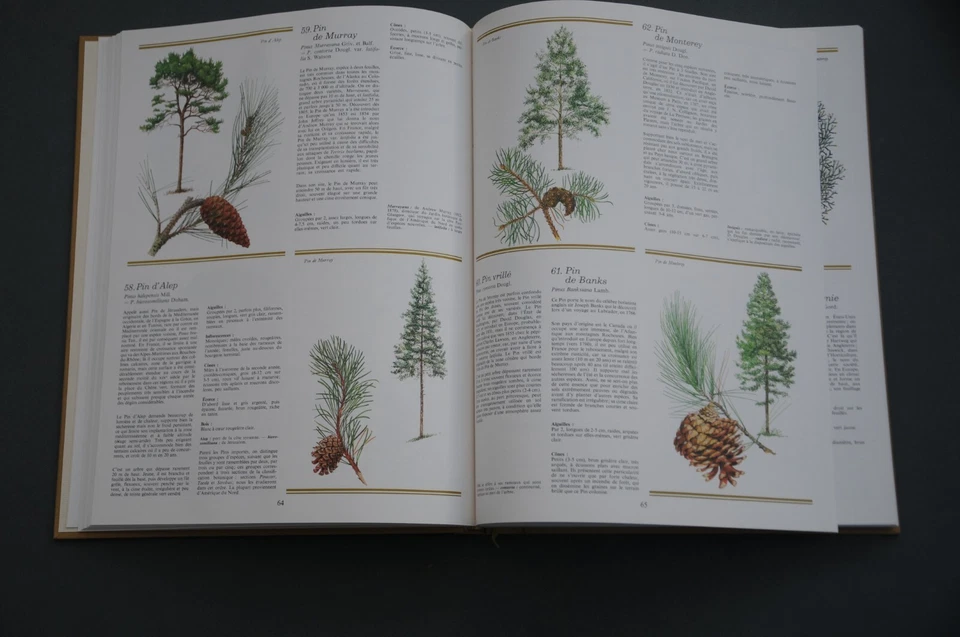 Botanique Herboristerie J. Brosse Atlas des arbres d'Europe occidentale 1977 - Photo 3/4