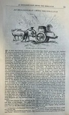 1876 Englishwoman in the Himalayas Elizabeth Sarah Mazuchelli  illustrated