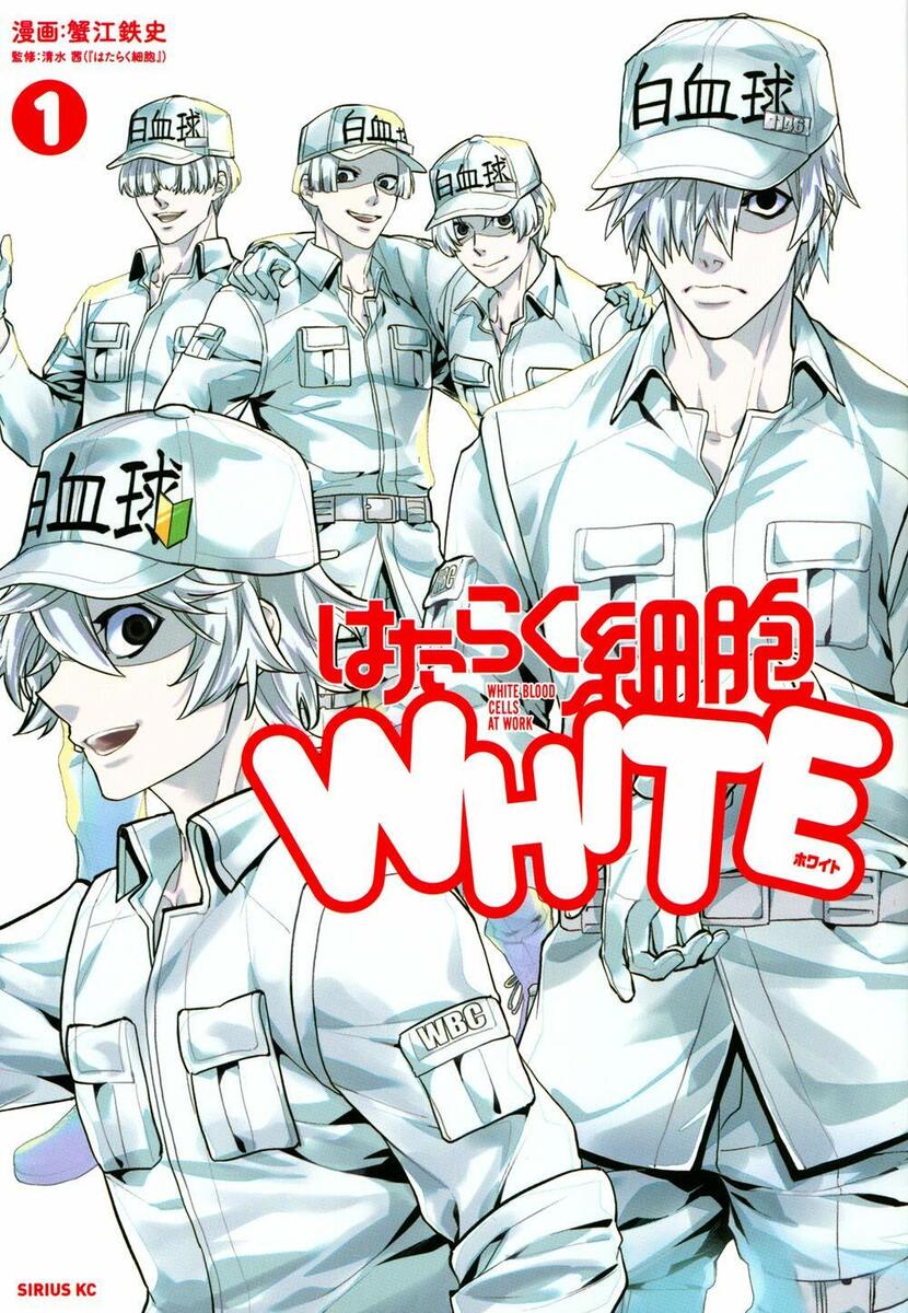 White Blood Cell at Work vol 1 Japanese Comic Book Manga はたらく