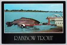 Postcard Oversized Exaggerated Rainbow Trout 6x4