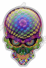 Crazy Skull Fantasy Colorful Rainbow Car Bumper Vinyl Sticker Decal 3.6"X5"