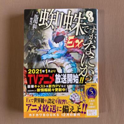 So I'm a Spider, So What? Kumo Desu Ga, Nani Ka? Ex Art Book Illustration