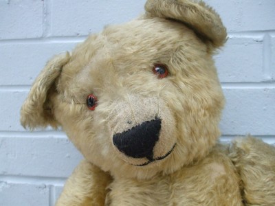 tall teddy bear