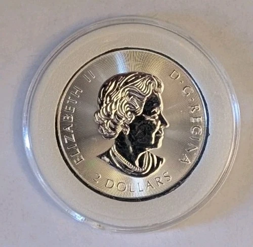2019 Canada Polar Bear 1/2oz .9999 Silver $2 Coin – BU in Capsule