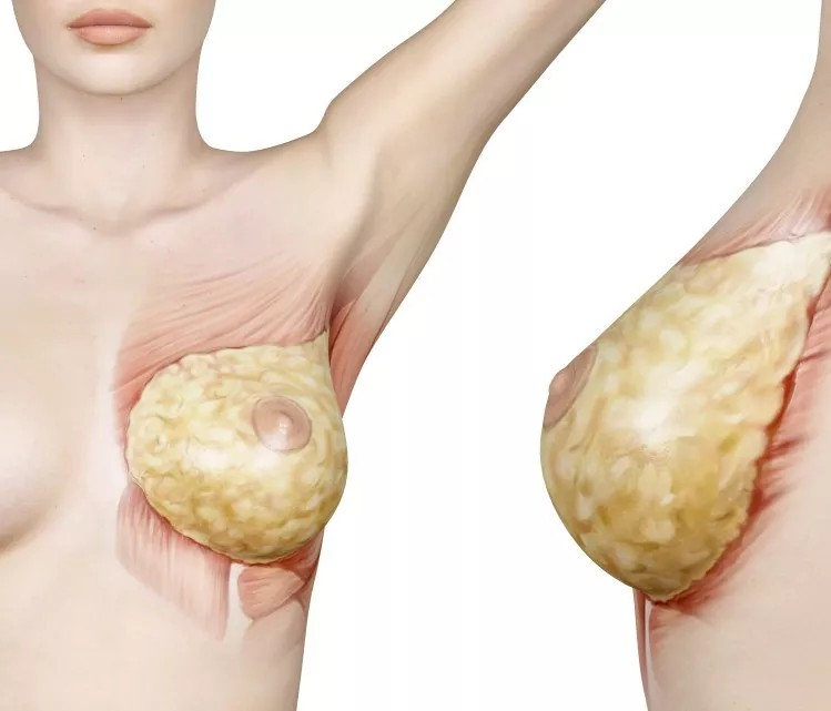 Pueraria Mirifica Kwao Krua Kao 1000mg Female Support 120 Capsules