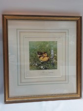 David Shepherd Ltd Ed Art Print Ziggy Duckling Framed Signed