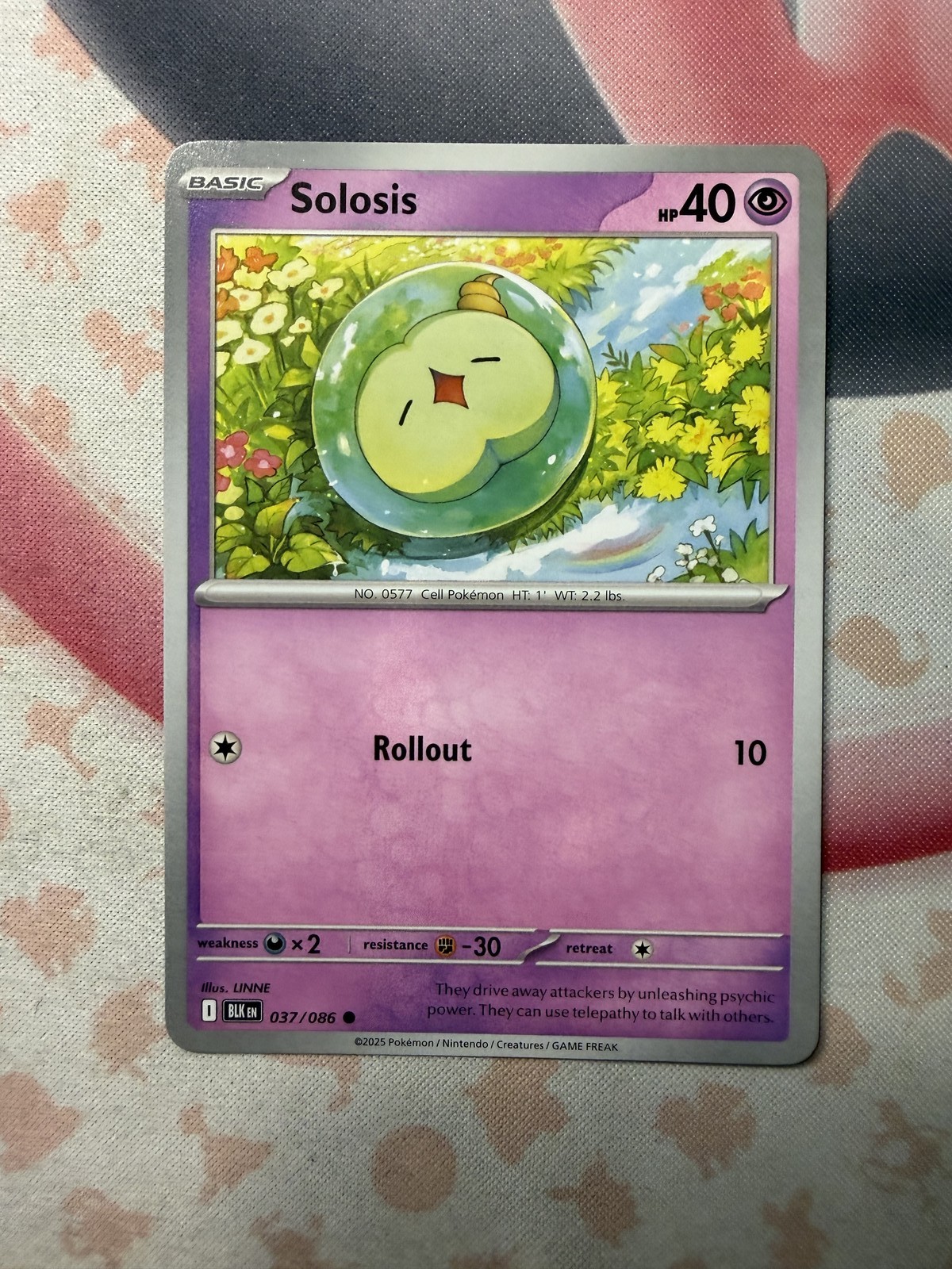 Solosis Common SV: Black Bolt 037/086 NM English Pokemon Card