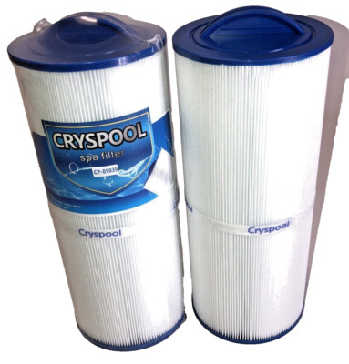 Cryspool MPT-Thread Spa Pool Filter CP-05039 (2 Pack)