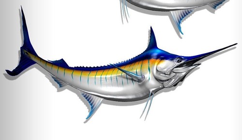 Calcomanías de vinilo para RV calcomanías gráficas 2 peces marlín azul 24" calcomanías gráficas barco #1 - Imagen 3 de 3