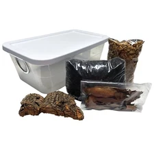 Deluxe Isopod Habitat Kit - Exo-Morphs - Insect Terrarium