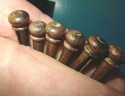 Gitarrensteg-Pins Palisander mit Abalone-Punkt-Inlay x6 + Steg-Pin-Entfernungswerkzeug