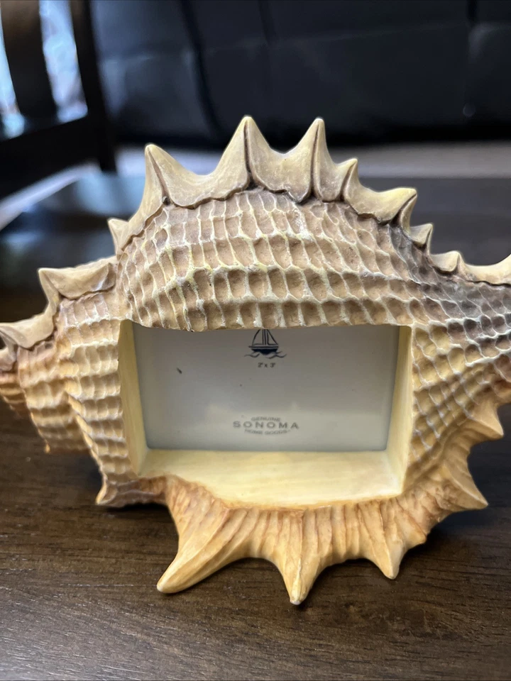 Sonoma Life + Style Рамка для Картинки ~ Морская Раковина 2,5 X 2 дюйма 9 дюймов Длина - Изображение 2 из 4