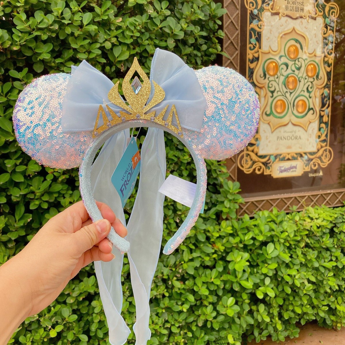 Hong Kong Disneyland Exclusive World Of Frozen Elsa & Anna Minnie