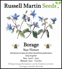 Borage Starflower  Seeds