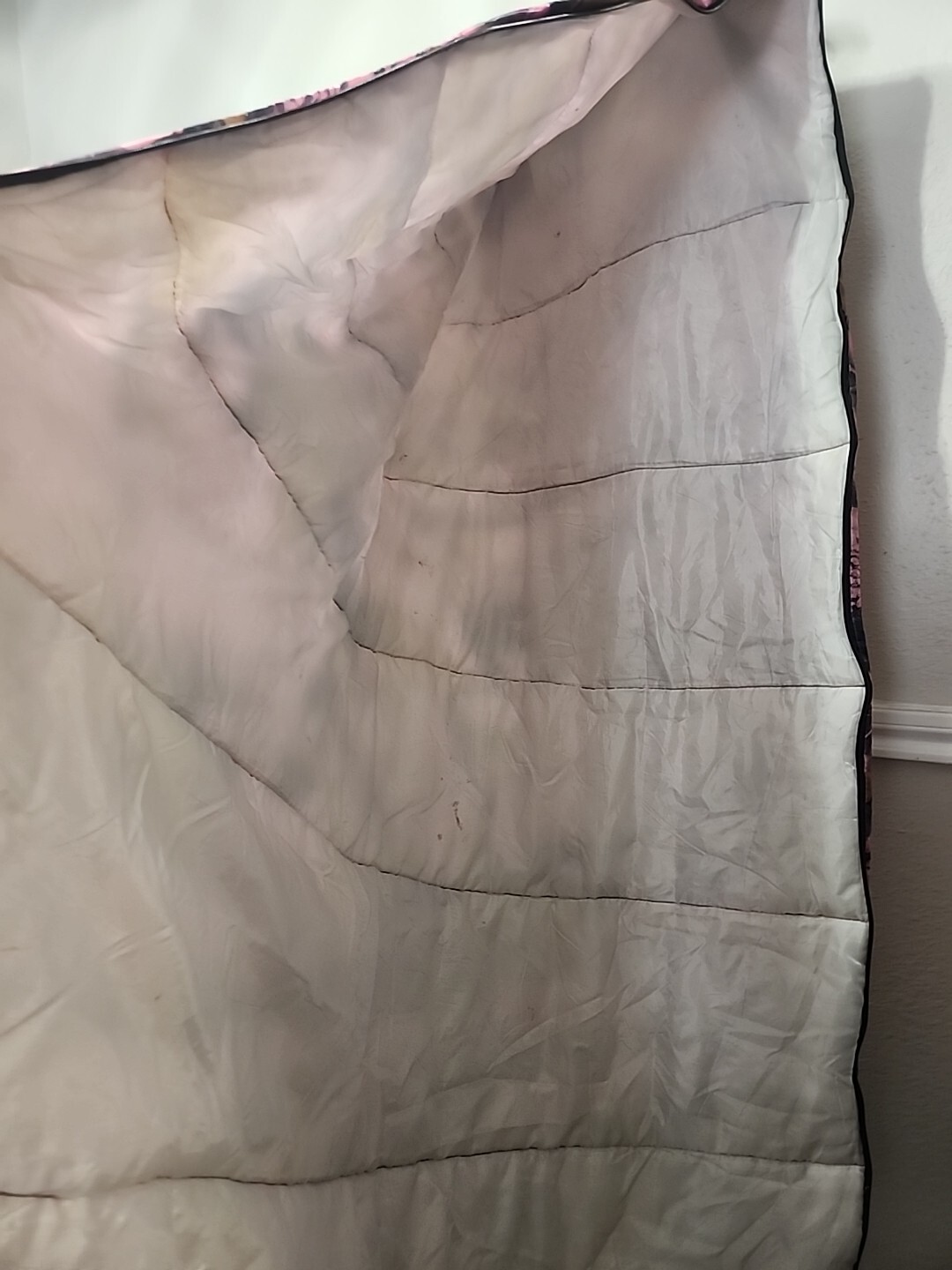 Picture 6 of 13