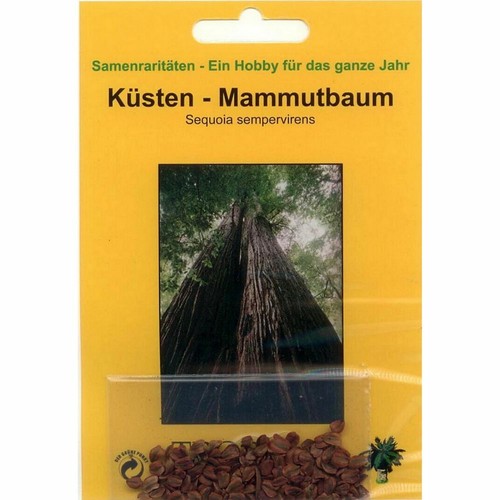 Mammutbaum Dnger Mammutbume Sequoiadendron dngen NPK Volldnger flssig  | eBay.de