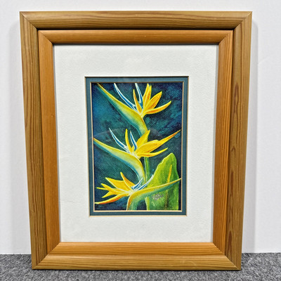Donald K Hall #161 ''Bird of Paradise'' Signed And Framed Print Hawaii Botanical
