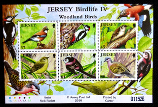 Jersey 2009 Birdlife IV SG MS 1501 MNH