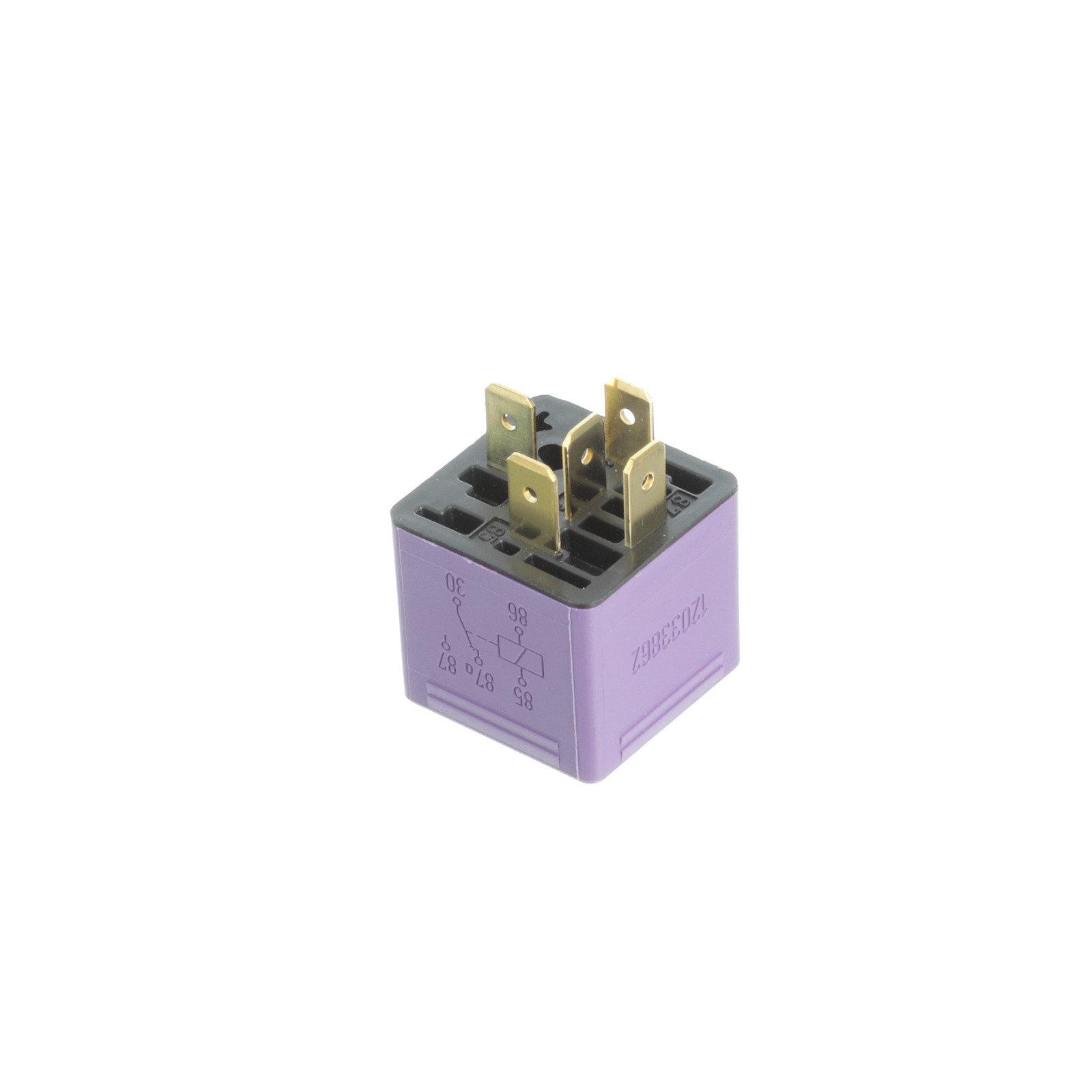 Miniatura 5